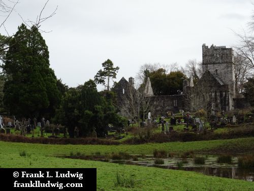 Muckross Abbey